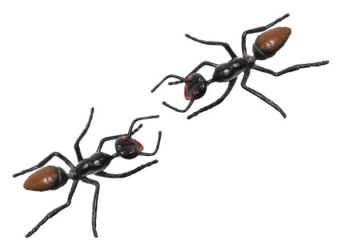 Plastic Ants