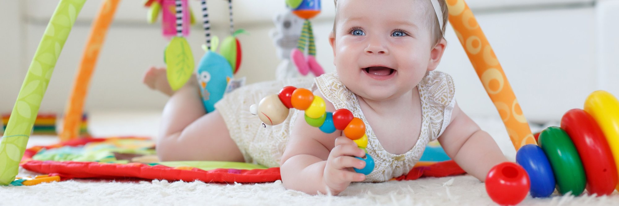 Joy in Every Toy!